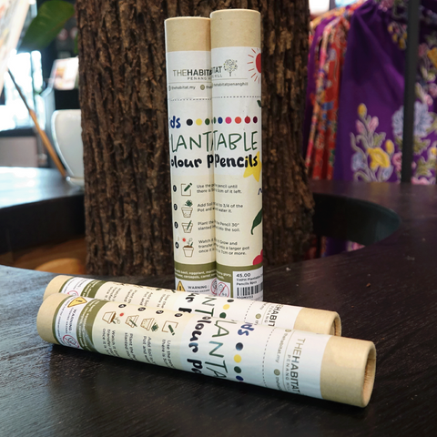 The Habitat Plantable Colour Pencils 8pcs