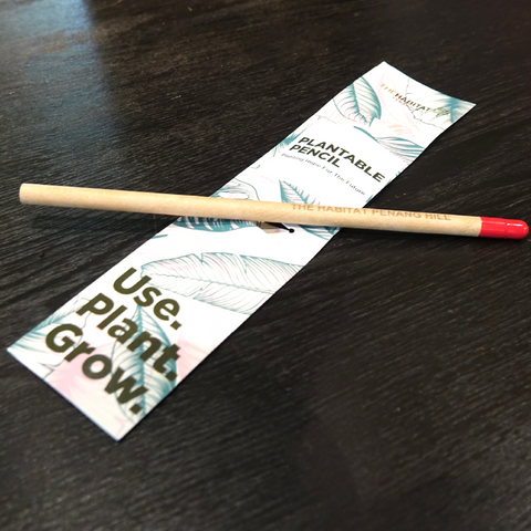 The Habitat Plantable Pencil