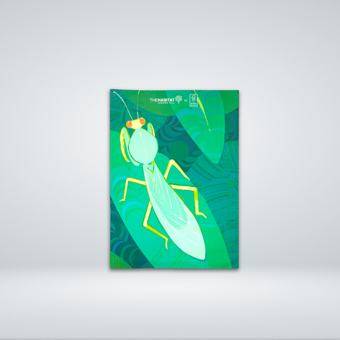 The Habitat Wildlife Series Folders