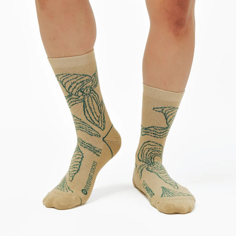 Root & Good | BUNGA Socks | Graphic Mesh Crew Socks
