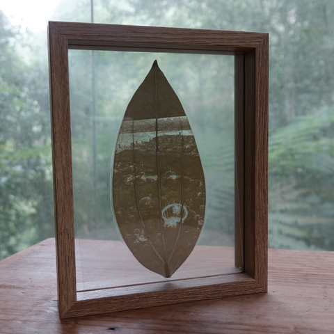 The Habitat Leaf Engraving