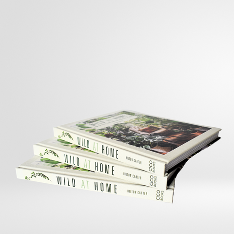 Wild at Home: How to Style and Care for Beautiful Plants