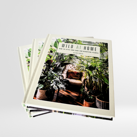 Wild at Home: How to Style and Care for Beautiful Plants