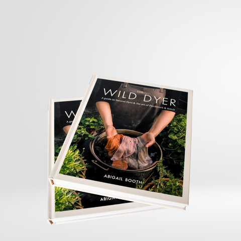 The Wild Dyer by Abigail Booth