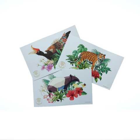 Wild Life Postcards