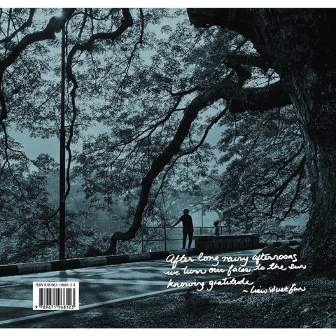 After Long Rainy Afternoons: Of Taiping And Her People