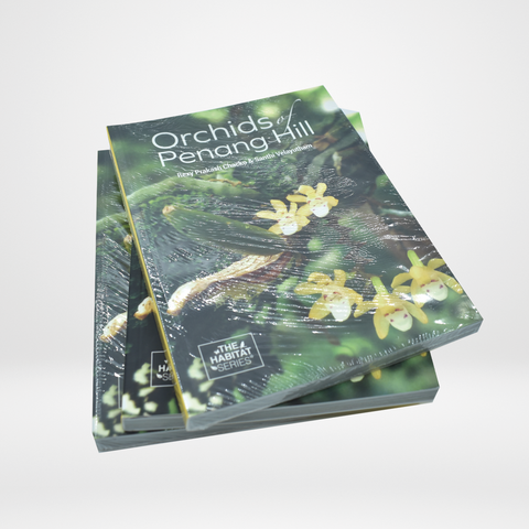 Orchids of Penang Hill