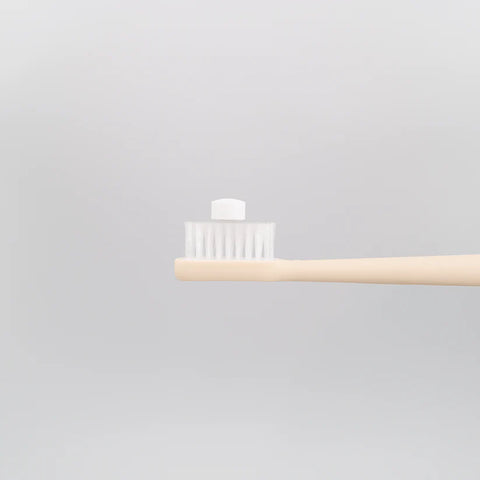 Brin's 62x Toothpaste Tablets