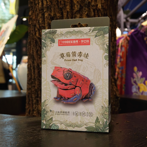 3D Paper Puzzle – Poison Dart Frog