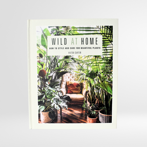 Wild at Home: How to Style and Care for Beautiful Plants