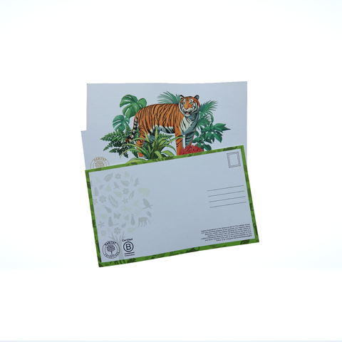 Wild Life Postcards