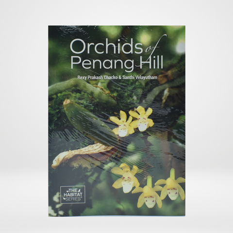 Orchids of Penang Hill
